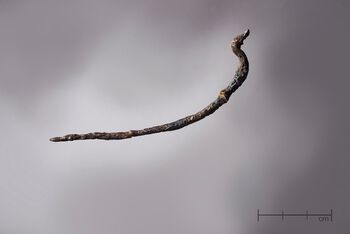 Dette er en såkalt svanehalsnål av jern. Les mer om gjenstander av jern og den første jernproduksjonen i Norge. Foto: Terje Tveit/Arkeologisk museum, Universitetet i Stavanger/CC BY-NC-ND 3.0