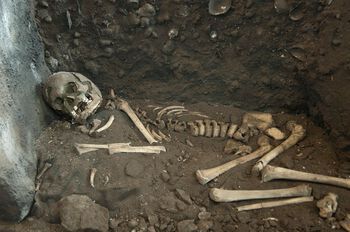 Skjelettet etter Viste-gutten fra Svarthola, avbildet i utstillingsmonteret på Arkeologisk museum. Skjelettet ble funnet i søppelhaugen på en steinalderboplass, og hvorfor søppelhauger ble brukt som gravplass, kan du lese om her . Foto: Terje Tveit/Arkeologisk museum, Universitetet i Stavanger/ CC BY-NC-ND 3.0