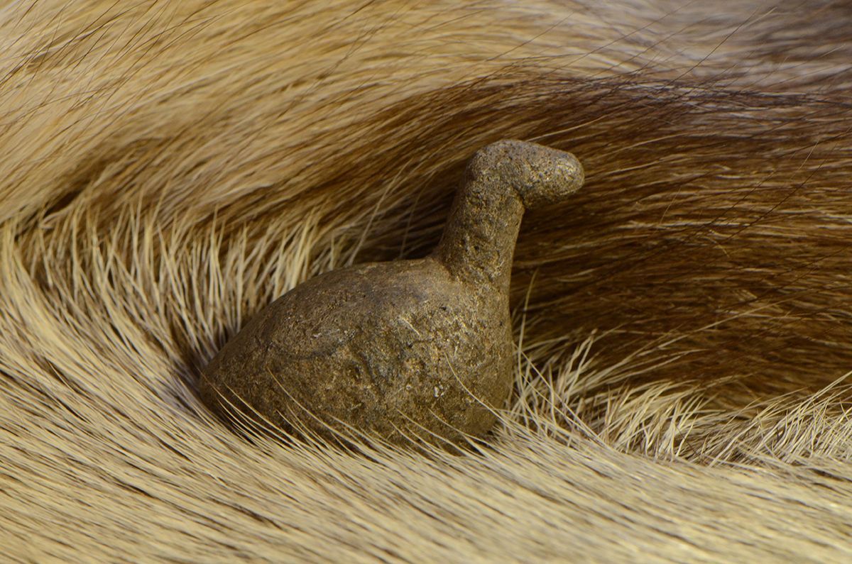 Stein formet som fugl, plassert på brunt gress