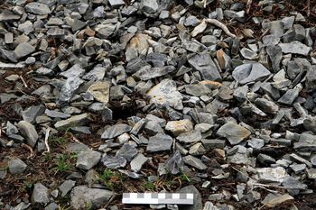 Avfall fra rhyolittbryting på toppen av fjellet Siggjo på Bømlo, Hordaland. Les mer om hvilke steintyper som var ettertraktet råmateriale i steinalderen .&amp;#160;Foto: Astrid J. Nyland/UiO/ CC BY-NC-ND 3.0