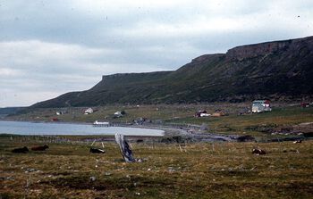 Fra Nesseby i Finnmark har vi rikholdige funn fra de tidlige fangstkulturene i Nord-Norge. Disse var til forskjell fra andre fangstsamfunn bofaste: De bodde på samme sted året rundt. Les mer om de bofaste fangskulturene i Finnmark . Foto: Line Iversen, Elizabeth Skjelsvik/Kulturhistorisk museum, UiO/ CC BY-SA 4.0