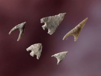 Pilspisser i flint som disse fra Slettebø i Rogaland er beregnet på jakt av ulike dyr. Etter at jordbruket ble kjent i Norden, fra 4000 til 2400 f.Kr., valgte fangstfolkene i Norge aktivt ikke å bli bønder. Allikevel skjedde det store endringer i samfunnet . Foto: Terje Tveit/Arkeologisk museum, Universitetet i Stavanger/ CC BY-NC-ND 3.0