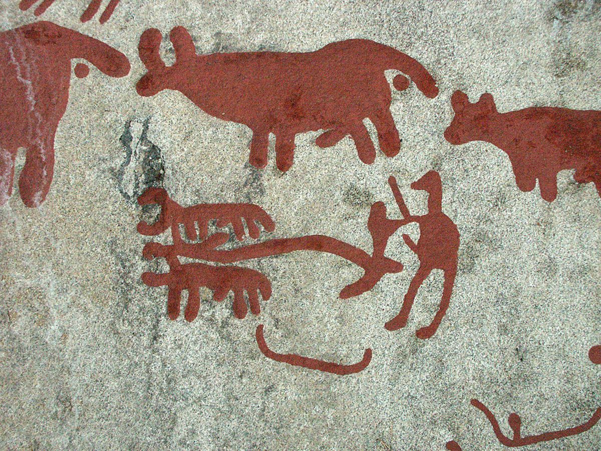 Dyrefigurer risset i fjell, ristningene er malt opp med rød maling