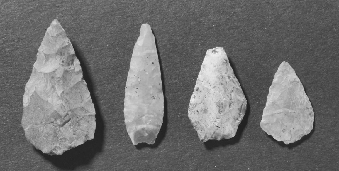 Svart-hvitt foto av fire dråpeformede pilspisser i stein. Nummer to skiller seg særlig fra de tre andre ved å være smalere.