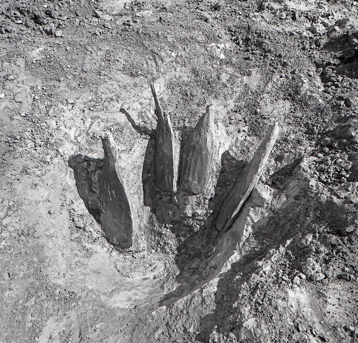 Rester etter spader som står i en grop i et klebersteinsbrudd, svart-hvitt-foto