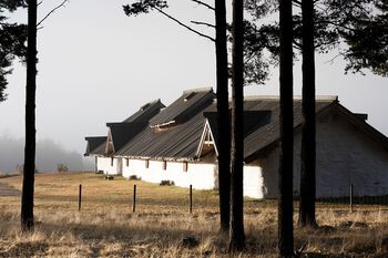 På Ringerike i Buskerud ble restene etter et uvanlig stort langhus funnet. Arkeologer har i samarbeid med håndverkere forsøkt å rekonstruere huset. Gradvis ble bosetningen mer permanent gjennom romertida, og det vi kan kalle gårder vokste frem . Foto: Espen Hartz/Veien Kulturminnepark/ CC BY-NC-ND 3.0