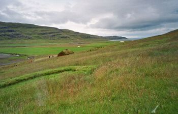 På Eirikstadir på Island er det funnet en hustuft som er datert til 900-tallet. I skråningen nedenfor er det bygd en rekonstruksjon av langhuset. Les mer om hvor&amp;#160;skandinavene&amp;#160;reiste og hvor de bosatte seg i vikingtiden .&amp;#160;Foto: Unn Pedersen