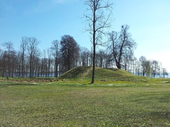 Gravfeltet på Borre i Vestfold ble trolig etablert på 500–600-tallet og inneholder en skipsgrav fra omkring år 900. Storhaugene er et vitnesbyrd om maktkampene i merovingertiden og den tidlige vikingtiden. Les mer om overgangen fra høvdingdømmer til kongedømme i vikingtiden .&amp;#160;Foto: Unn Pedersen