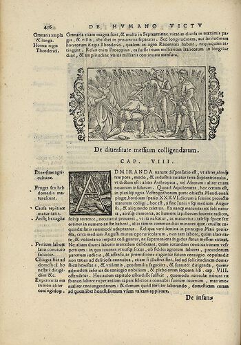 Kvinner deltok i arbeidet på gården, også utendørs. Illustrasjon fra historieverket Historia de gentibus septentrionalibus (De nordiske folkenes historie), skrevet av den svenske katolikken Olaus Magnus og utgitt i 1555. Les mer om familien som produksjonsenhet . Foto: Svein Skare/Uni­ver­si­tets­museet i Bergen
