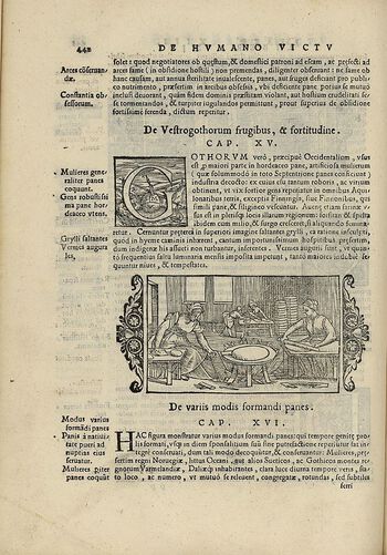 Kvinner baker brød ved ulike metoder.&amp;#160;Illustrasjon fra historieverket Historia de gentibus septentrionalibus (De nordiske folkenes historie), skrevet av den svenske katolikken Olaus Magnus og utgitt i 1555. Les mer om familien som produksjonsenhet . Foto: Svein Skare/Universitetsmuseet i Bergen
