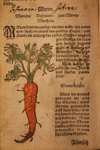 Dette er en side av en tysk legehåndbok som ble utgitt i Strassburg i 1607. Det var et slitt og godt brukt eksemplar av denne boka som ble testamentert til Oslo katedralskoles bibliotek i 1820. Boka har&amp;#160;sannsynligvis vært flittig brukt av en lege eller apoteker i Norge. Foto: Ernst Bjerke/Christiania Kathedralskoles Bibliothek