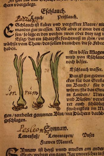 Dette er en side av en tysk legehåndbok som ble utgitt i Strassburg i 1607. Det var et slitt og godt brukt eksemplar av denne boka som ble testamentert til Oslo katedralskoles bibliotek i 1820. Boka har&amp;#160;sannsynligvis vært flittig brukt av en lege eller apoteker i Norge. Foto: Ernst Bjerke/Christiania Kathedralskoles Bibliothek