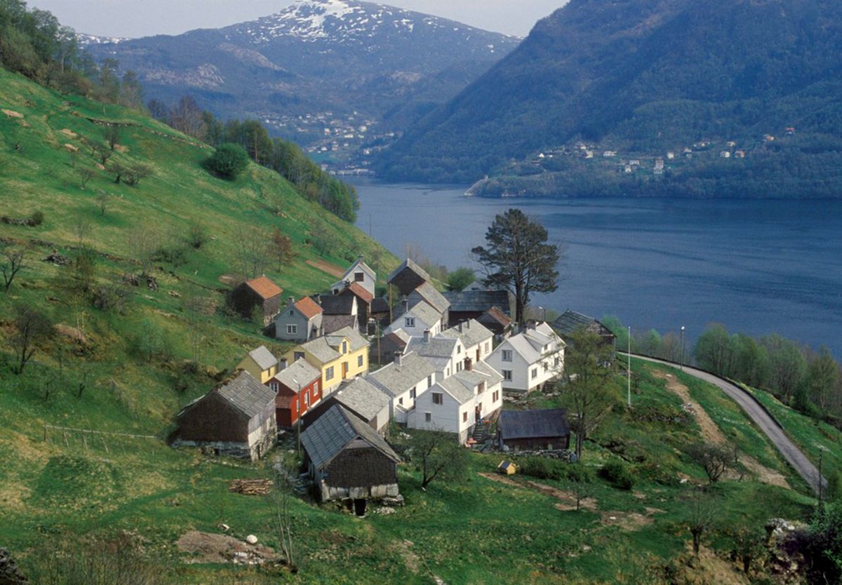 Fotografi av klyngetun, sett fra lenger opp i åssiden. Fjorden i bakgrunn