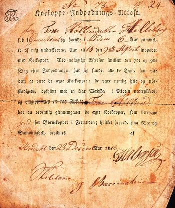Kukoppevaksine ble obligatorisk i Norge i 1810 og gikk først ut av vaksinasjonsprogrammet i 1976, da det ikke var noen sykdomsrisiko lenger. På 1800-tallet fikk alle norske barn en koppeattest som så ut som den som er vist på bildet. Rundt om i skuffer og skap i norske hjem er det derfor ikke så sjelden å finne slike gamle attester. Den som er gjengitt her, forteller at den seksårige Tone var blitt innpodet med kukopper den 9. april 1813. Mellom syv og ni dager senere kunne vaksinatøren bevitne på ære og samvittighet at det forelå alle tegn på ekte kukopper, hvilket beskyttet henne mot «Børnekopper», dvs. den farlige koppesykdommen. Det behøvde ikke være helsepersonell som utførte vaksinasjonen, men andre som hadde fått spesialopplæring. På bildet ser vi både at vaksinatør Halvorsen var skolelærer av yrke – og at han var treg med å utstede attesten, som først er datert lille julaften. Les mer om innføringen av vaksine i Norge .&amp;#160;Foto: Øivind Larsen