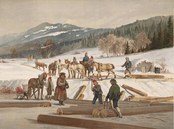 Skogen var en viktig inntektskilde for bønder. Hogsten og frakten av tømmeret til kjøpere skjedde gjerne om vinteren, som dette maleriet fra 1857 av Johan Fredrik Eckersberg viser. Les mer om hvordan bønder i Norge tjente til livets opphold på 1800-tallet . Foto: Nasjonalbiblioteket/ CC PDM
