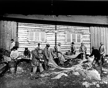 Foto: Severin Worm-Petersen/ Norsk teknisk museum.