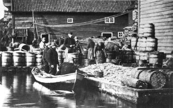 Salting av sild,&amp;#160;1869. Foto: Haugalandmuseet.