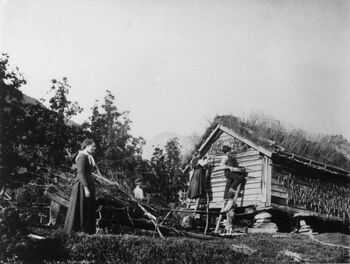 Sild var hverdagsmat for folk flest. Det som til vanlig ble spist i Norge var vindtørka sild og saltsild. Foto: Norsk Folkemuseum.