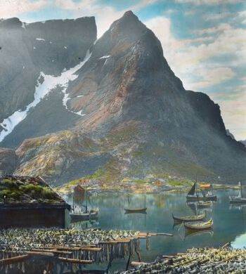 Fiskeværet Reine i Lofoten. Foto: Anders Beer Wilse/DEXTRA Photo.