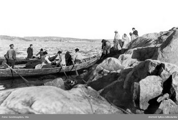 Sildefiske ved Hvaler ca. 1890.