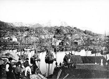 En gruppe mennesker ved naust i losjsbåter. Tallet på losjifartøy økte kraftig ut gjennom 1850- og 1860-åra. Foto: Worm-Petersen, Severin/ Norsk Teknisk museum