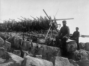 Tørrfisk er usalta fisk som ble hengt på hesjer eller hjeller til tørk. Her fra Finnmark omkring 1900.&amp;#160;Foto: Severin Worm-Petersen/ Norsk Teknisk Museum.