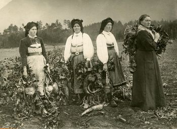 Fra landbruksskolen Longerak i Setesdal. Fotografiet er tatt&amp;#160;i 1908. Les om hvordan husmødrene ble sentrale for&amp;#160;folkehelsearbeidet i Norge .&amp;#160;Foto: ukjent/Setesdalsmuseet