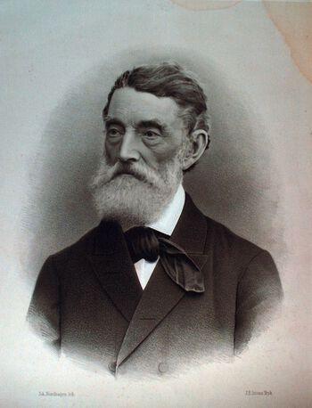 Dette er opposisjonspolitikeren Johan Sverdrup, fotografert i 1880. Sverdrup var stortingspresident og ledet Stortingets maktkamp mot regjeringen og kongemakten . Foto: Johan Nordhagen/Oslo museum/ CC BY-SA