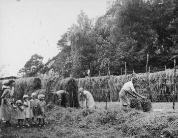 Hesjing ved Svanviken arbeidskoloni nær Eide på Nordmøre. Bildet er tatt på 1930-tallet. Les mer om arbeidskolonien for «omstreifere» . Foto: Statsarkivet i Trondheim