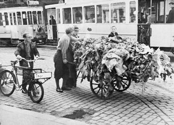 En tobakksdyrker kjører sin last av hjemmeavlete tobakksblader gjennom Oslos gater i 1944. Les mer om hverdagslivet under okkupasjonen av&amp;#160;Norge .&amp;#160;Foto: NTB scanpix