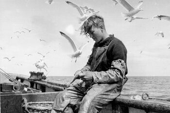 Her sløyer en ung fisker&amp;#160;fisk ombord på norsk fiskebåt i Nordsjøen. Denne båten hadde kurs mot engelske havner og fiskemarkeder. Bildet er tatt i august 1942. Les mer om hvem som tjente og tapte på krigen .&amp;#160;Foto: Ole Friele Backer/NTB scanpix