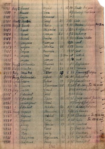 Dette er en side fra innregistreringsprotokollen i «Sigøynerleiren» i Auschwitz-Birkenau. På øvre halvdel av denne siden er navnene til flere norske romer ført inn. Les mer om norske romers skjebne under andre verdenskrig . Foto: Museet Auschwitz-Birkenau, arkivsamlingen