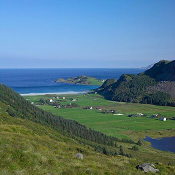 I etterkrigsårene ble den utenlandske grana Sitkagrana plantet i stort omfang på Vestlandet, ofte&amp;#160;i bratt terreng: Bygda Refvik på Vågsøy i Sogn og Fjordane, 2006. Les mer om den store&amp;#160;plantedugnaden i Norge . Foto: Svein Grønvold /NN/Samfoto/NTB scanpix