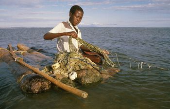 Fiske i Turkana-sjøen, 1986. Vannstanden i sjøen varierer og gjør fangstmengden usikker. Andre problemer for det norske bistandsprosjektet i Turkana inkluderte et stort fryseanlegg som bygget for å fryse fisk for eksport, men som aldri ble brukt: Det viste seg at det var nok å legge fisken på is. Les mer om norsk bistand på 1970- og 1980-tallet . Foto: Trygve Bølstad/Samfoto/NTB Scanpix