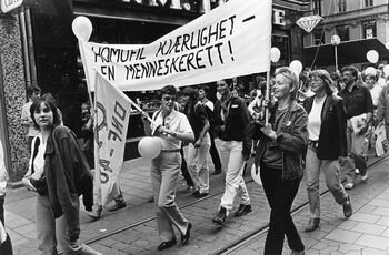 Homobevegelsen&amp;#160;markerte&amp;#160;seg i offentligheita . Her frå ein marsj&amp;#160;i 1982.&amp;#160;Karen-Christine (Kim) Fiele går foran med flagget til DNF-48. Foto: Ole A Buenget / Samfoto / NTB scanpix