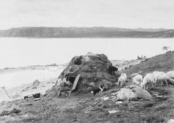 I døråpningen sitter skoltesamekvinnen Tatjana Fesdolova Titoff og hennes barn, hun strikker, ca 1900. Foto: Ellisif Rannveig Wessel. Tilhører Grenselandmuseet. CC BY-NC-SA