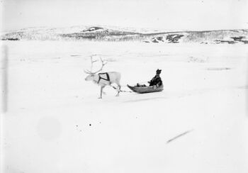 Foto: Ellisif Rannveig Wessel. Tilhører Grenselandmuseet. CC BY-NC-SA