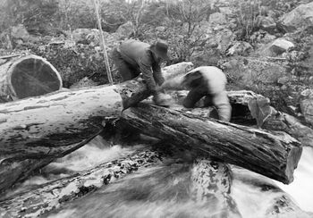 Tømmerfløting i Elgåa i 1908. En del grove furustokker har lagt seg i ymse retninger i fallet. To fløtere er i ferd med å plassere en dynamittladning for å løse vasen ved sprenging med dynamitt. Foto: ukjent / Anno Norsk Skogmuseum.