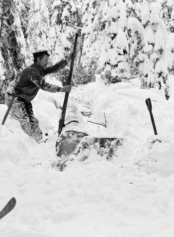 En skogsabeider snur en spirestokk ved hjelp av vendhake i 1908. Foto: ukjent / Anno Norsk Skogmuseum.
