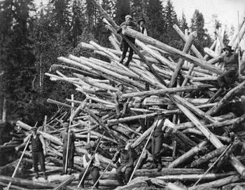 Tømmerfløting, stor vase i sidevassdraget Væla i Soknedalen på Ringerike våren 1912. Foto: Feragen, Alf / Anno Norsk Skogmuseum.