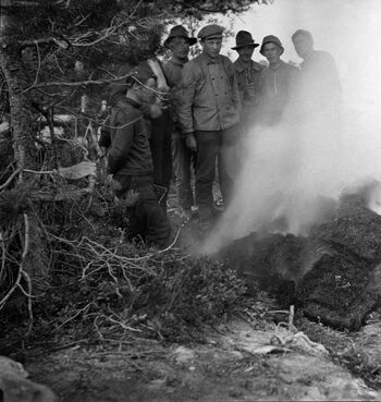 Tjærebrenning i nærheten av Langvassheimen i Furudal statsallmenning i Namdalseid. Bildet er tatt mellom 1902 og 1918. Foto: Barth, Agnar Johannes/ Anno Norsk Skogmuseum.